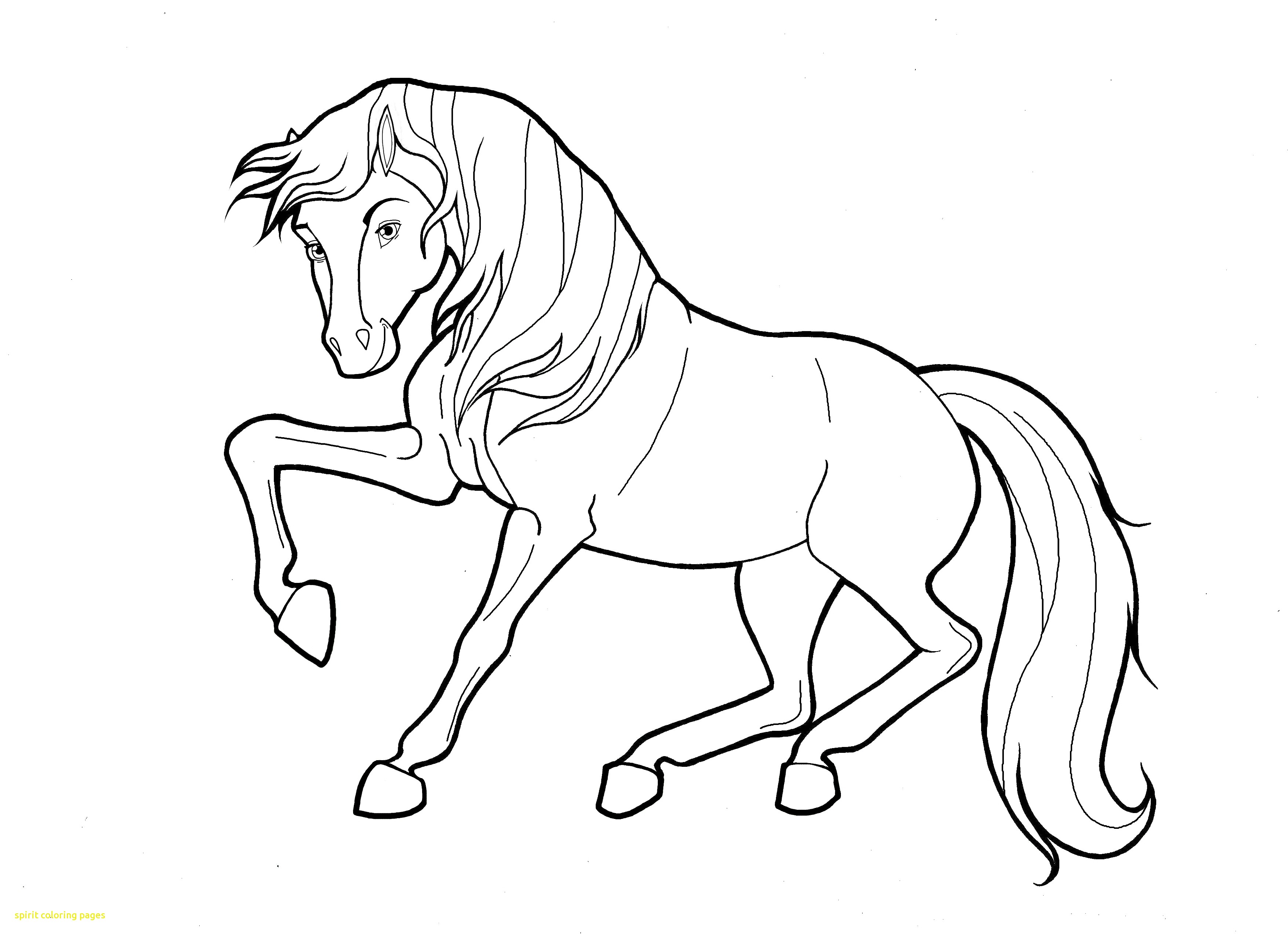 3509x2550 Spirit Coloring Pages Spirit Horse Coloring Pages