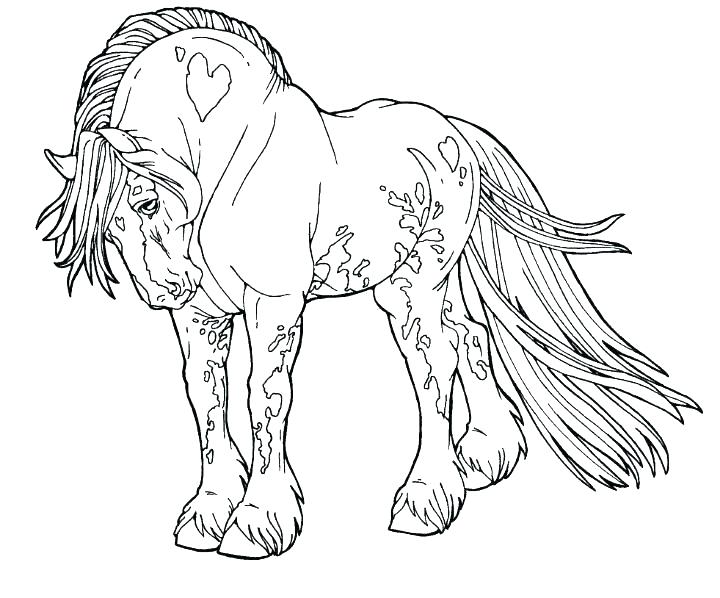 720x598 Spirit Horse Coloring Pages Horse Coloring Page Free Horse