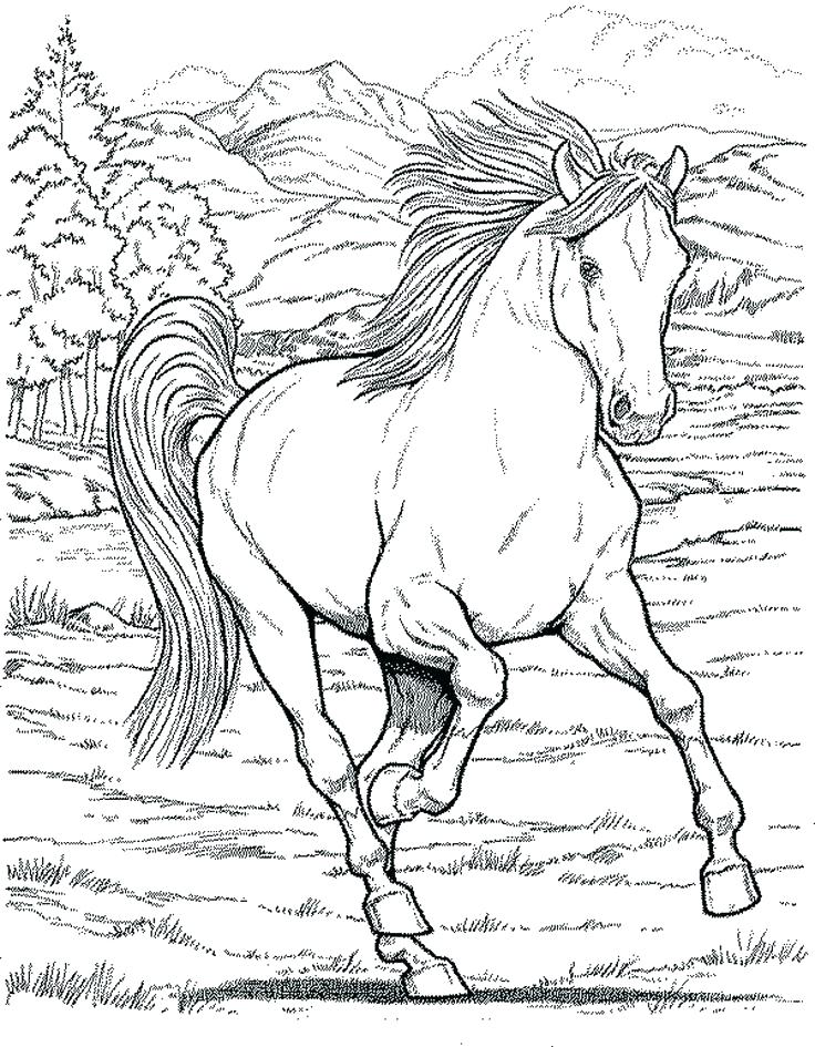 736x945 Spirit Horse Coloring Pages Horses Coloring Pages Horse Coloring