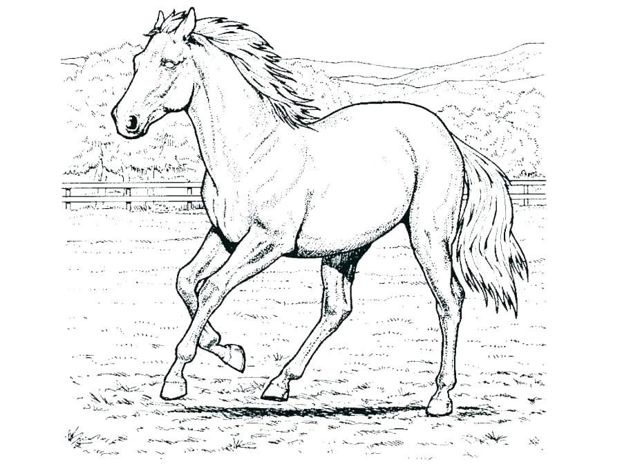 900x675 Spirit Horse Coloring Pages Printable