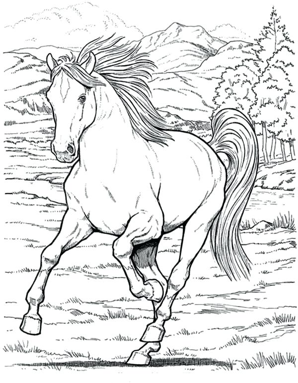 600x771 Best Unicorns To Color Images On Coloring Books Realistic Horse