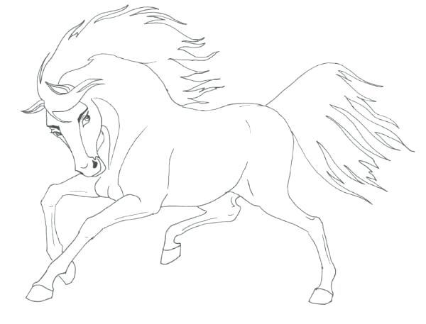 600x457 Coloring Pages Horses Jumping Spirit Horse Printable Also Pr