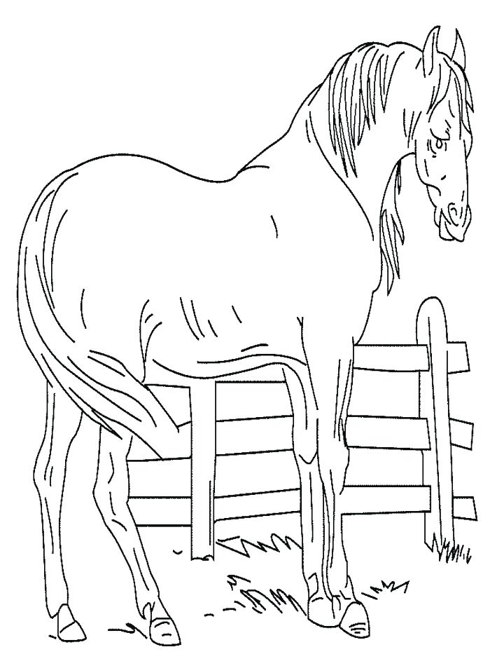 700x933 Mustang Horse Coloring Pages Free Printable Horse Coloring Pages