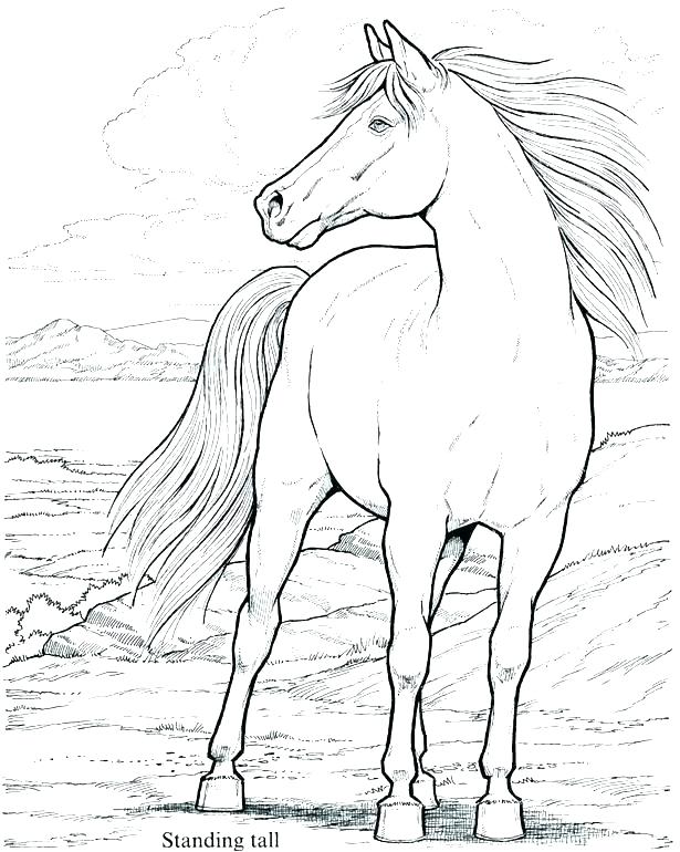 Download Spirit Stallion Of The Cimarron Coloring Pages at GetDrawings.com | Free for personal use Spirit ...