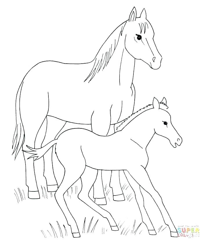 710x840 Spirit Horse Coloring Pages Spirit The Horse Coloring Pages Horse