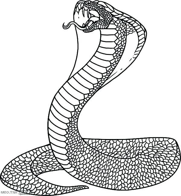600x650 Coloring Page Snake Dangerous Snake King Cobra Coloring Pages Kids