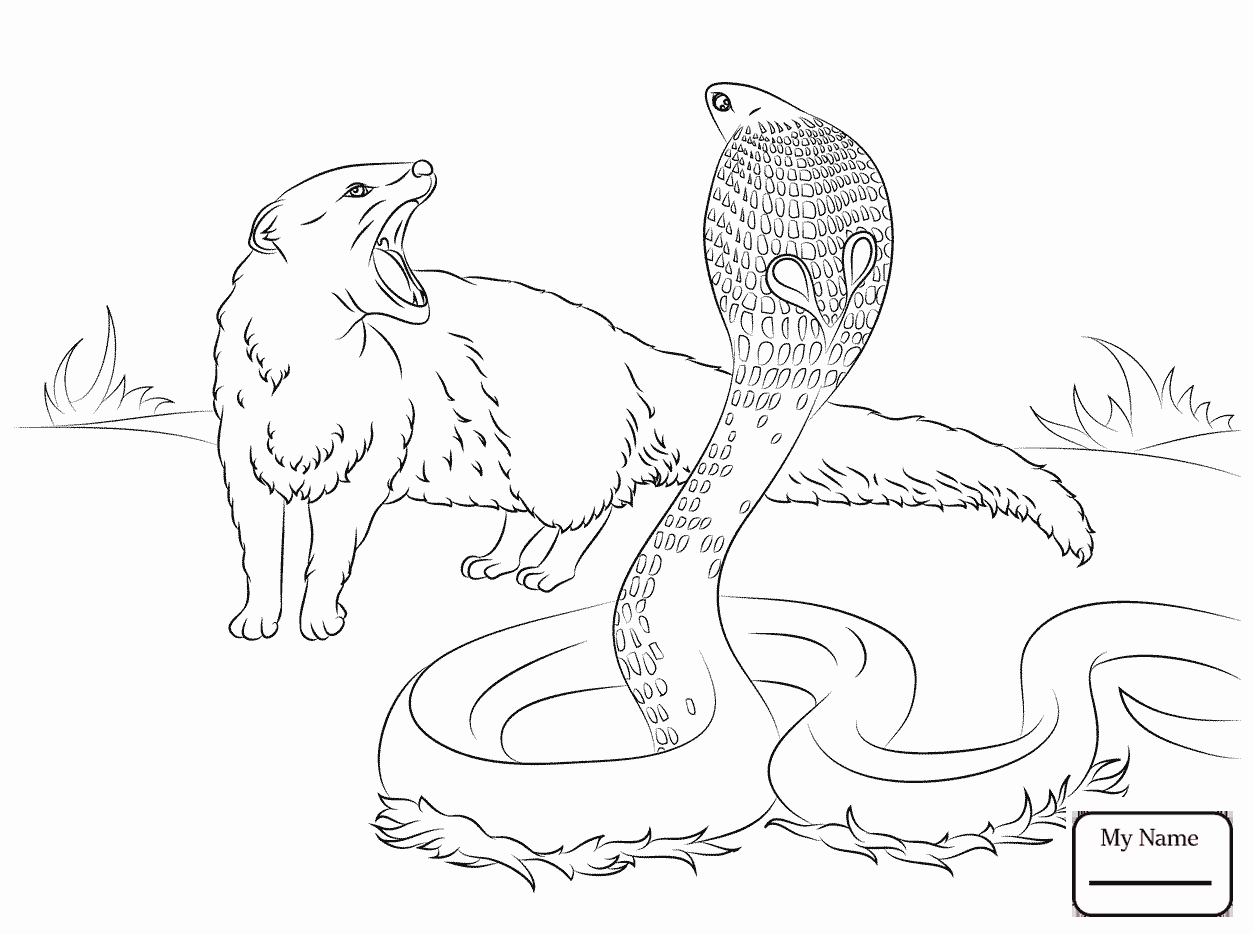 1253x934 Free Coloring Book Printables Awesome Spitting Cobra And Mongoose