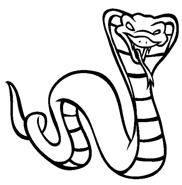 600x612 King Cobra Coloring Page, King Cobra Drawing Coloring Pages