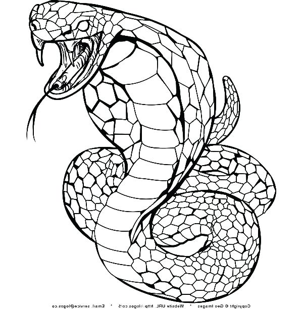 600x612 Cobra Coloring Page Cobra Bubbles Coloring Page Blocktradex Club