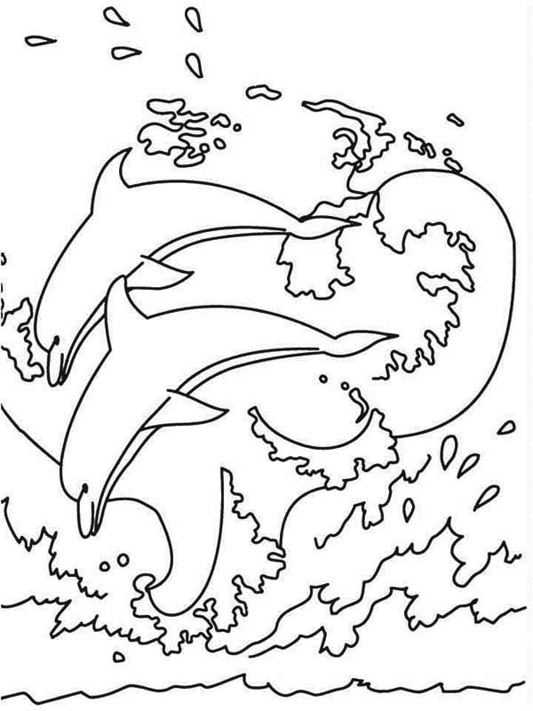 600x800 Two Dolphin Make A Huge Splash Coloring Page