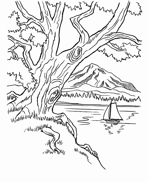 600x734 Mountain Coloring Pages Image Mountain Coloring Pages Arbor Day
