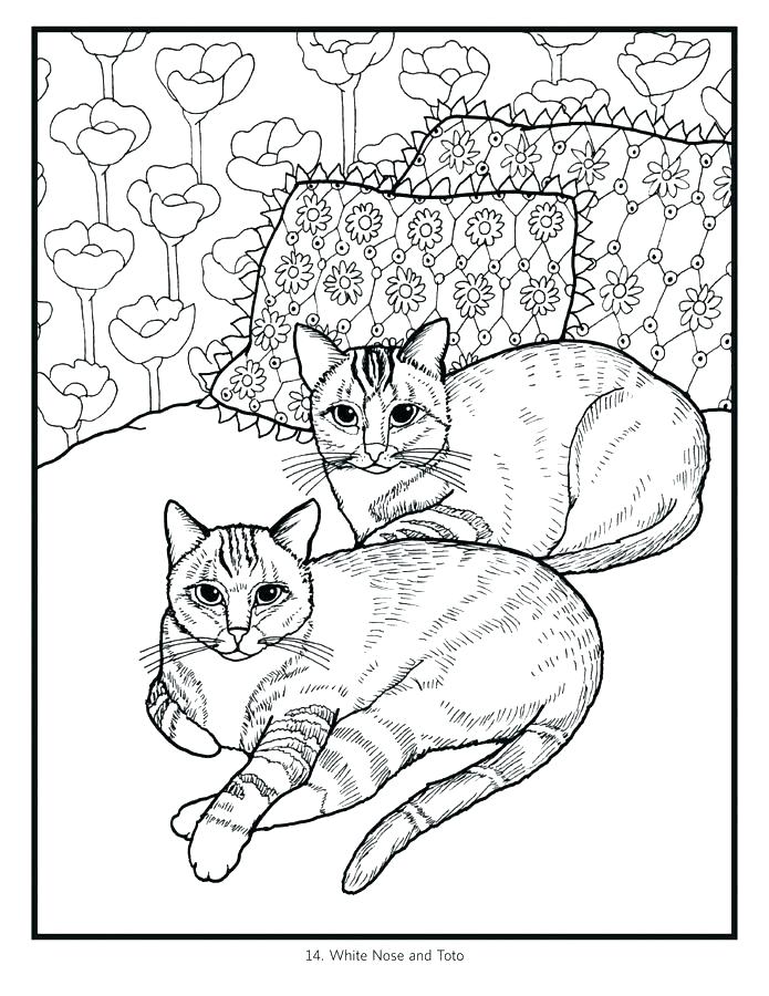 695x900 Splat The Cat Coloring Pages Coloring Pages Of Black Cats Coloring