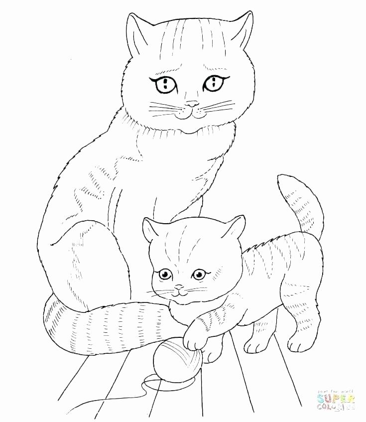 735x847 Splat The Cat Coloring Pages Affordable This Is Cats Coloring