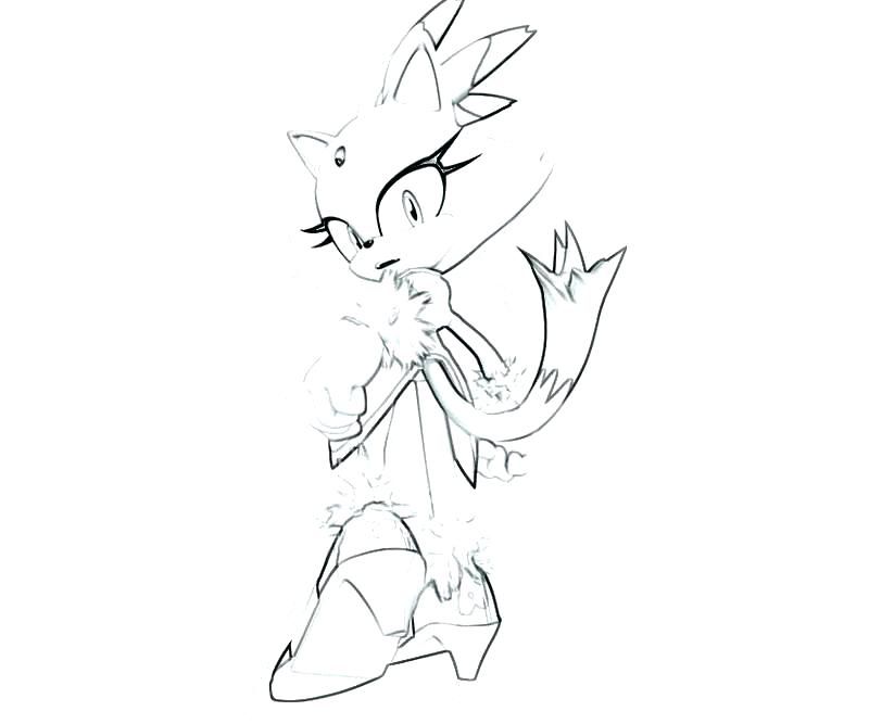 800x667 Cat Coloring Pages Printable