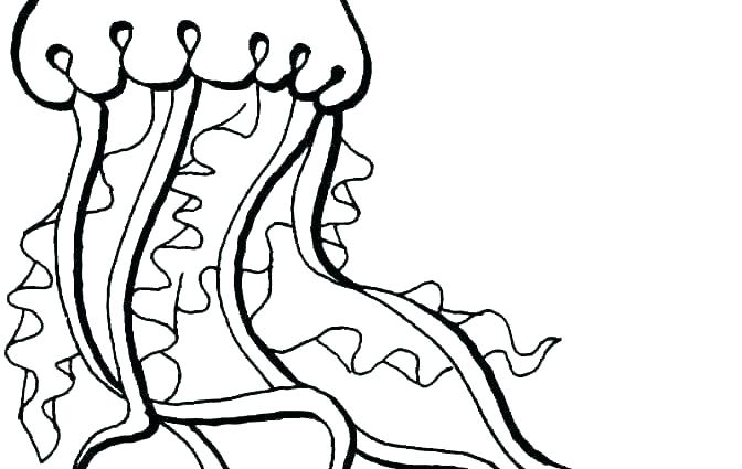 672x425 Jelly Fish Coloring Page Fish Color Pages X Ray Fish Coloring Page