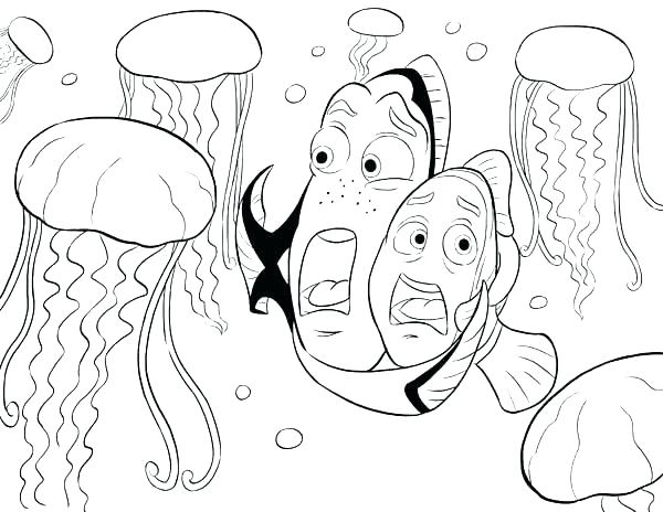 600x464 Jellyfish Coloring Pages Jelly Fish Coloring Page Coloring Pages