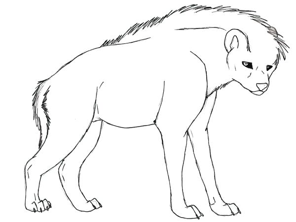 600x451 Hyena Coloring Page Click To See Printable Version Of Spotted
