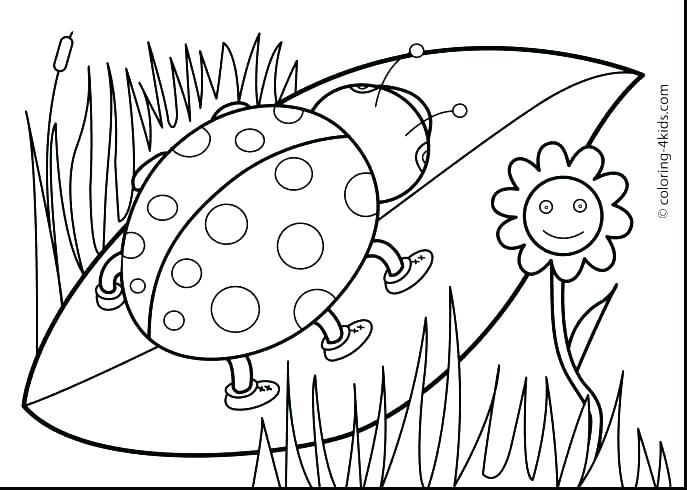 687x490 Spring Animal Coloring Pages Coloring Pages Animals Spring Baby