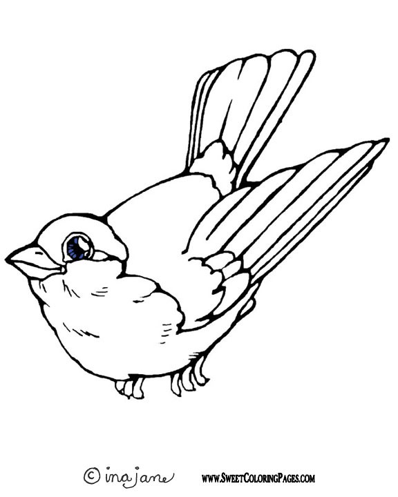576x720 Spring Birds Coloring Pages Coloring Page