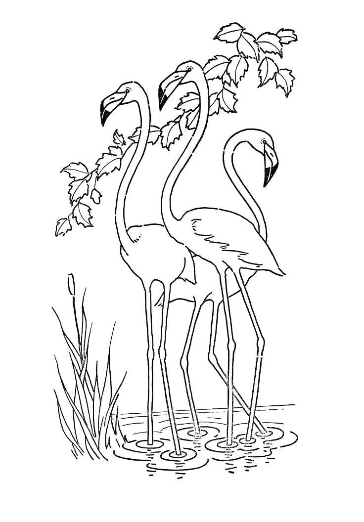 736x1056 Spring Birds Coloring Pages Color Bros Spring Birds Coloring Pages