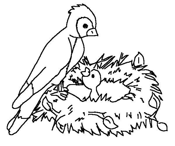 600x500 Bird On Nest Spring Animal Coloring Pages