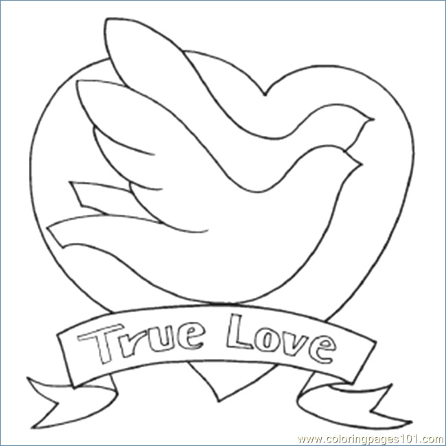 650x650 Bird On Nest Spring Animal Coloring Pages