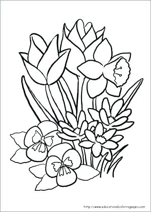 300x420 Spring Coloring Pages Free Free Spring Coloring Pages Big Spring