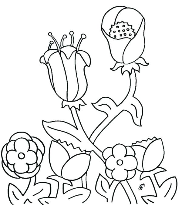 600x676 Spring Flower Coloring Sheets Spring Break Coloring Sheets Free