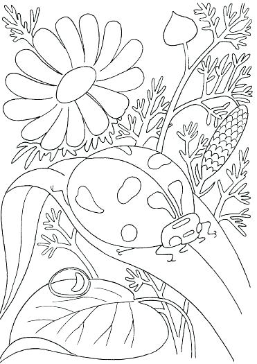 371x525 Springtime Coloring Pages Spring Flower Coloring Pages Ladybird