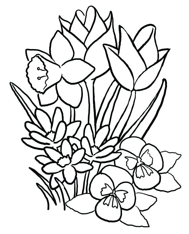 618x763 Coloring Pages For Spring Color Pages For Preschoolers Spring