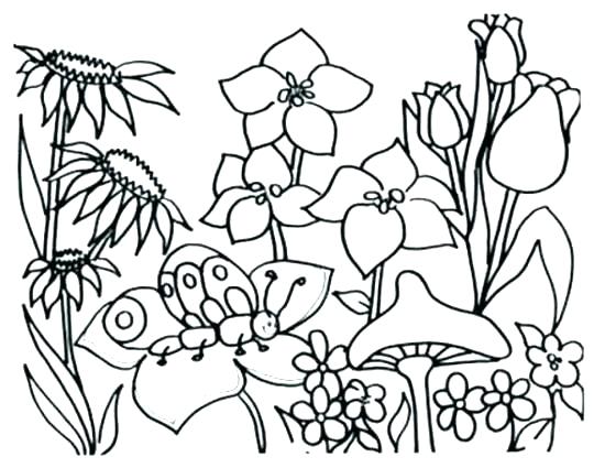 550x425 Spring Coloring Pages Spring Coloring Pages For Kids Printable