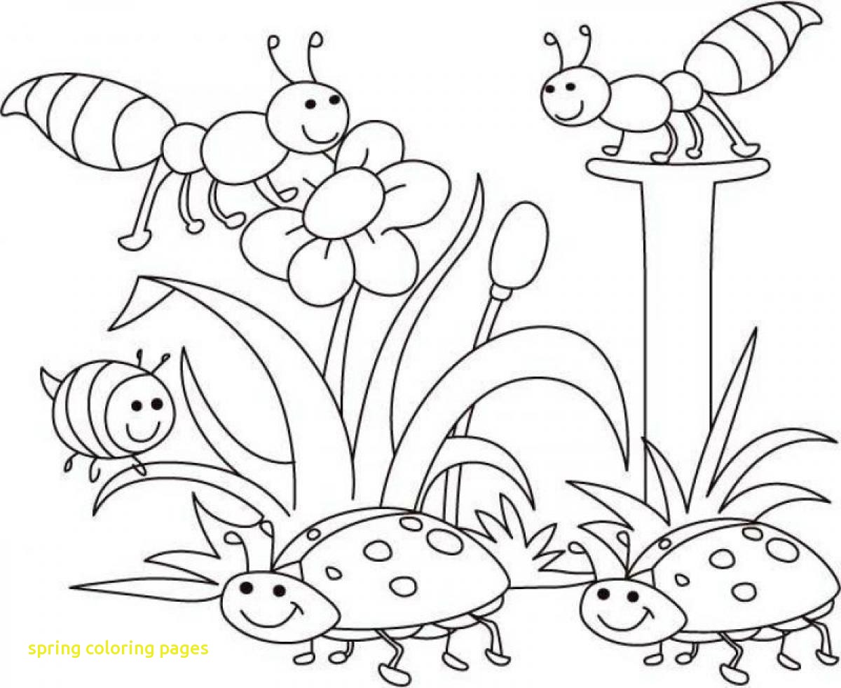 1200x981 Free Spring Coloring Pages Kids Printable Archives New