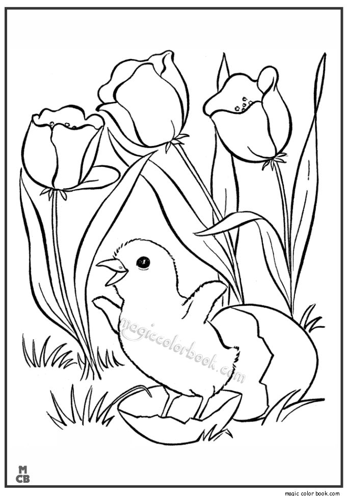 685x975 Best Spring Coloring Pages Freeline Images