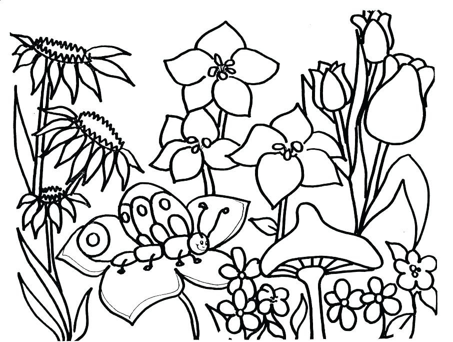 906x683 Coloring Sheets For Older Students Spring Coloring Page Crayolas