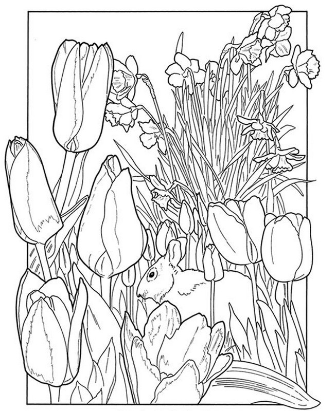 653x800 Adult Coloring Pages Spring