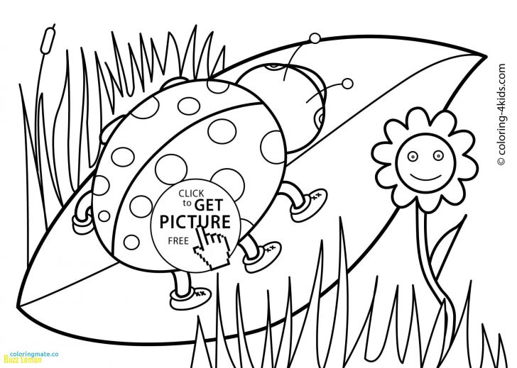 728x519 Spring Coloring Pages For Older Students Buzz Coloring