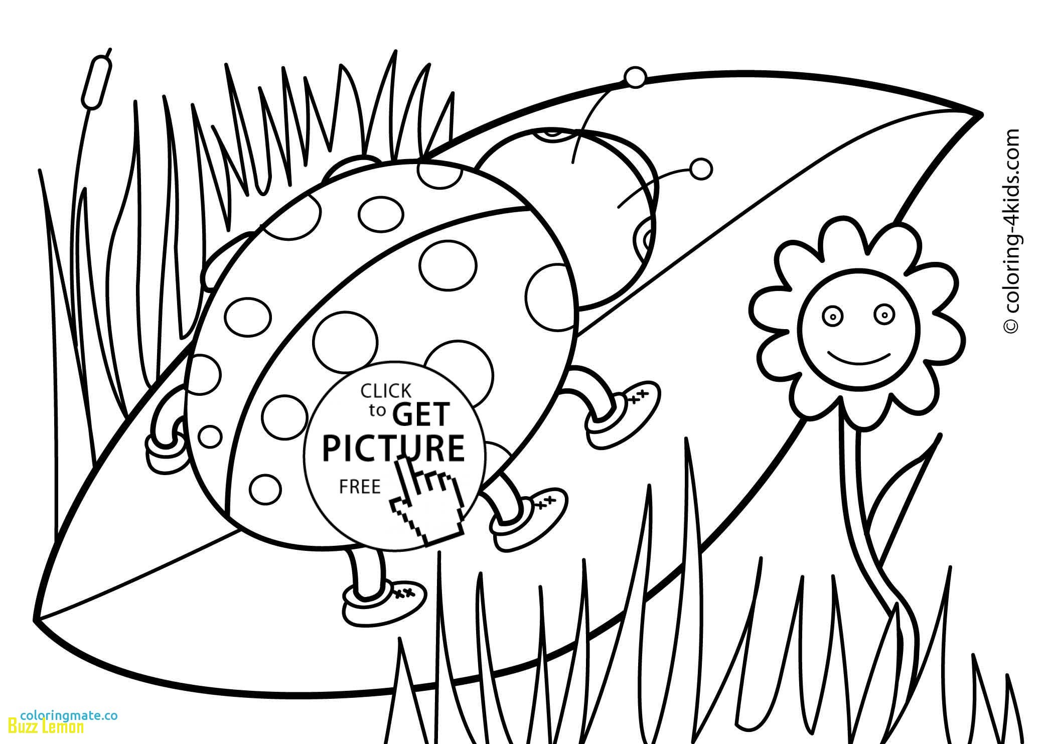 2079x1483 Best Of Spring Coloring Pages Buzz Coloring