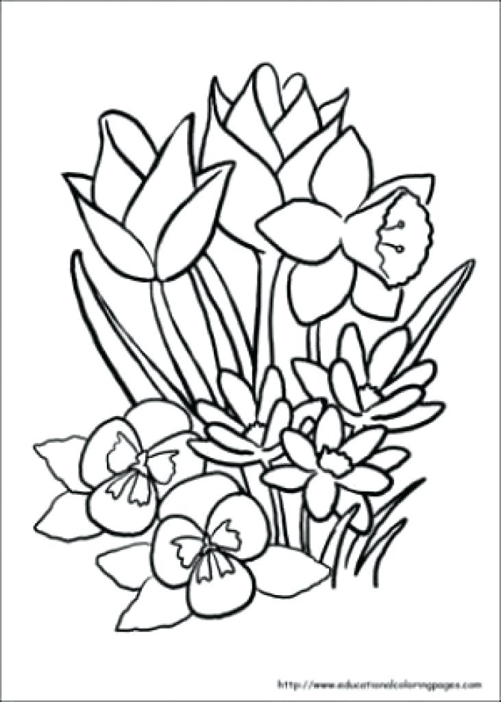 731x1024 Coloring Books For Seniors Coloring Pages For Older Adults As