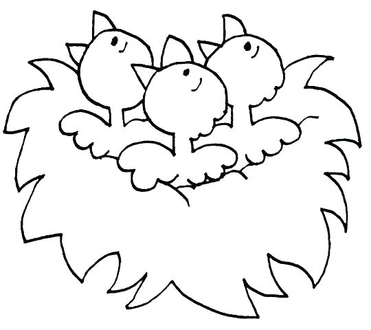 540x480 Spring Coloring Pages For Preschoolers Preschool Spring Coloring