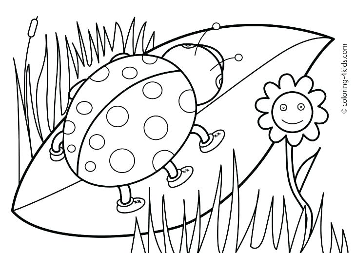 728x519 Spring Coloring Pages Printable Spring Coloring Pages For Toddlers