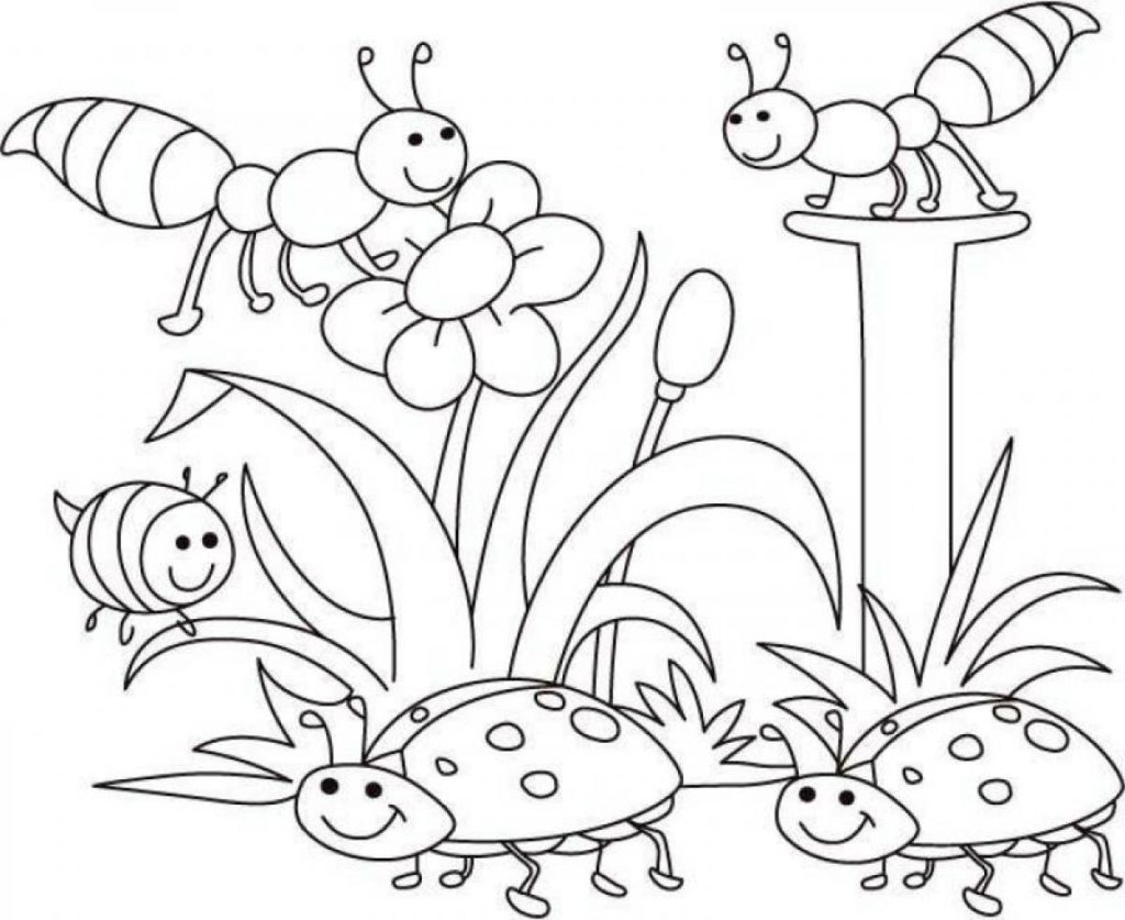 1024x837 Spring Coloring Pages Toddlers Az Coloring Pages Spring Coloring