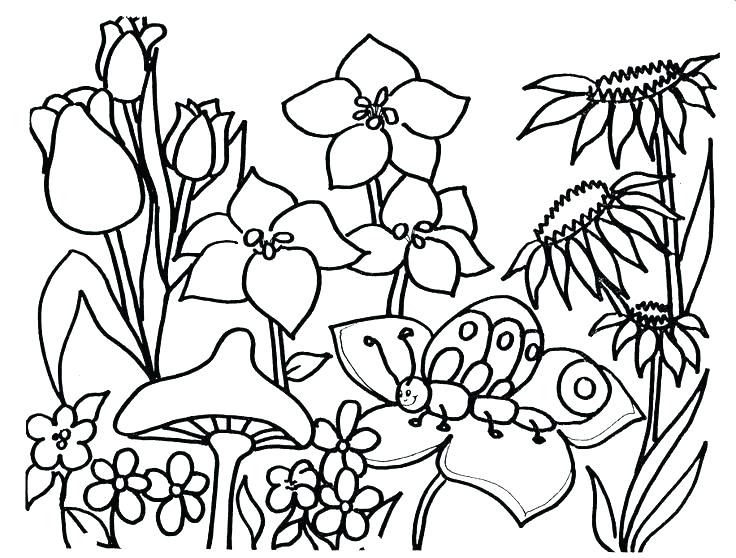 736x558 Free Spring Coloring Pages Elegant Spring Printable Coloring Pages