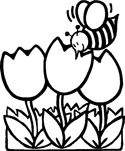 526x636 Spring Flower Coloring Pages Free Flower Coloring Pages For Kids