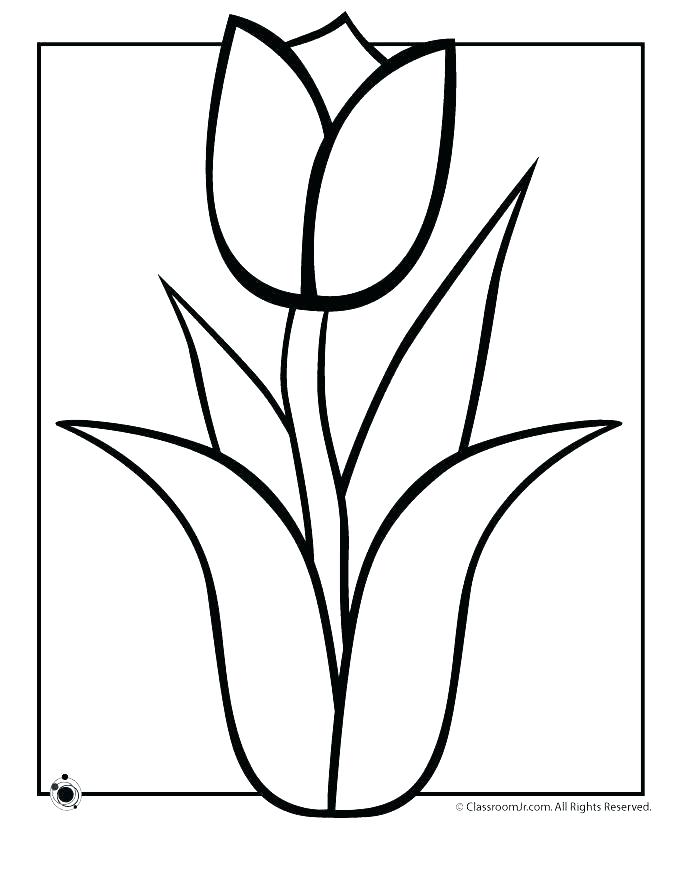 680x880 Flower Color Pages Spring Flower Coloring Page For Kids Flower