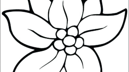500x280 Flowers Coloring Pages Free Printable Printable Coloring Pages