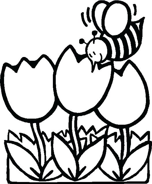 526x636 Photos Spring Flower Coloring Pages Printable