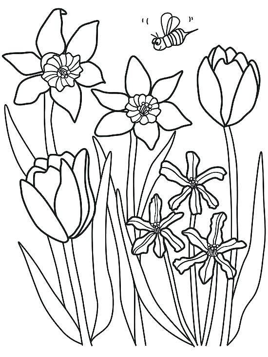 550x733 Skillful Design Spring Flowers Coloring Pages Printable Superb
