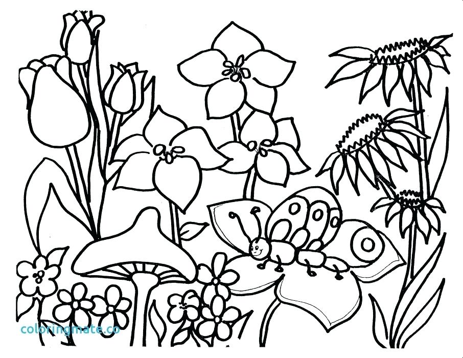 906x700 Free Spring Coloring Pages Spring Coloring Pictures Free Spring