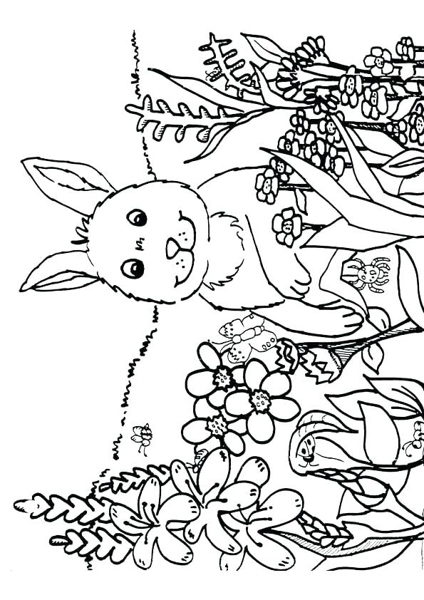 595x842 Coloring Pages Spring Nature Spring Printable Coloring Pages Easy