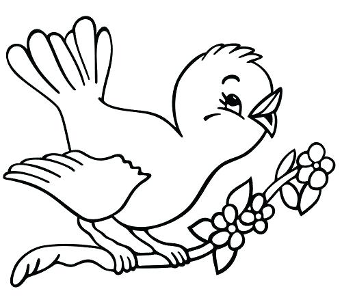 500x439 Springtime Coloring Pages